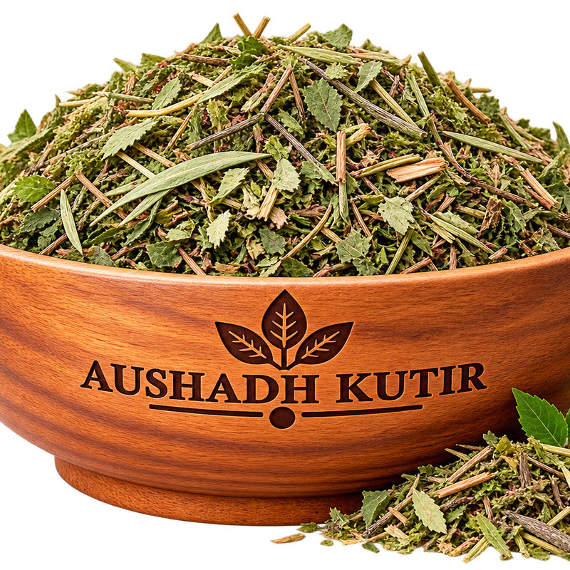 Singparni Leaves Whole – Singhparni Patta | Dandelion Leaves | Taraxacum officinale Leaves | Singhparni Dry Leaves | Whole Dried Botanical Leaf | Natural Herbal Raw Material | Premium Botanical Material