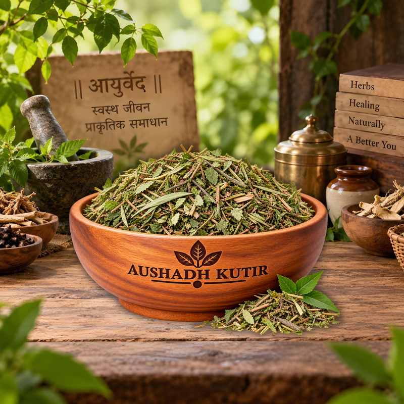 Singparni Leaves Whole – Singhparni Patta | Dandelion Leaves | Taraxacum officinale Leaves | Singhparni Dry Leaves | Whole Dried Botanical Leaf | Natural Herbal Raw Material | Premium Botanical Material