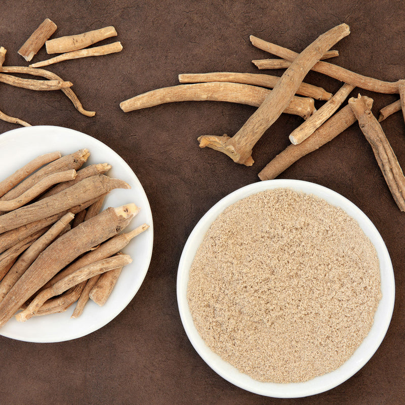 Ashwagandha Root – Asgandh Nagori (Withania somnifera)