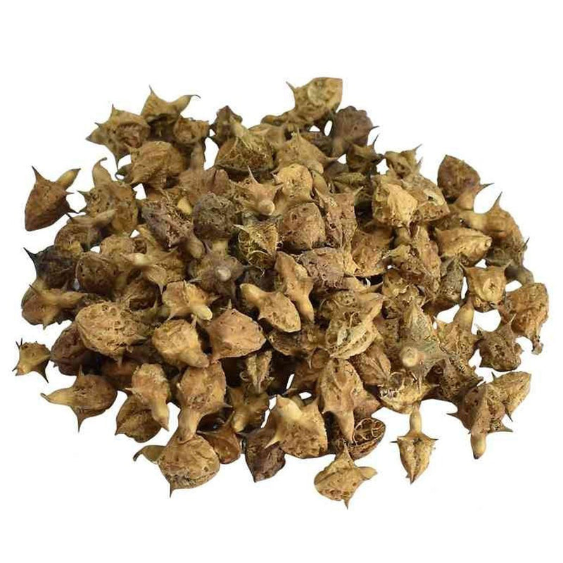 Gokhru (Big) – Bada Gokharu (Pedalium murex)