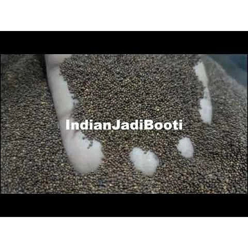 Beej Tulsi - Tulsi Manjari - Krishna Tulsi Seed (For Eating and Weightloss) - Shyama Tulsi Seeds (Edible) - Krishna Basil Seeds - Kali Tulsi Beej - Tukhme Rehan - Ocimum Sanctum by Aushadh Kutir