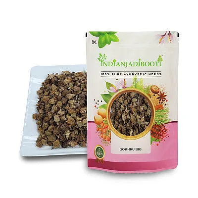 Gokhru (Big) – Bada Gokharu (Pedalium murex)