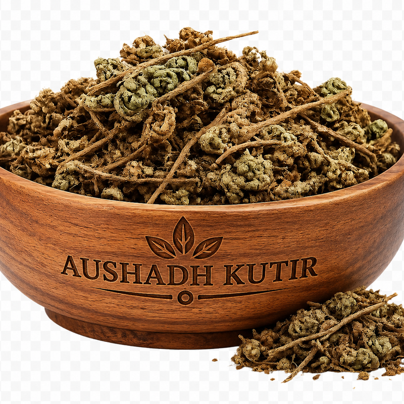 Laxman Booti Sanjeevni – Lakshman Booti | Sanjeevni Booti | Traditional Ayurvedic Herb | Natural Dried Herbal Raw Material