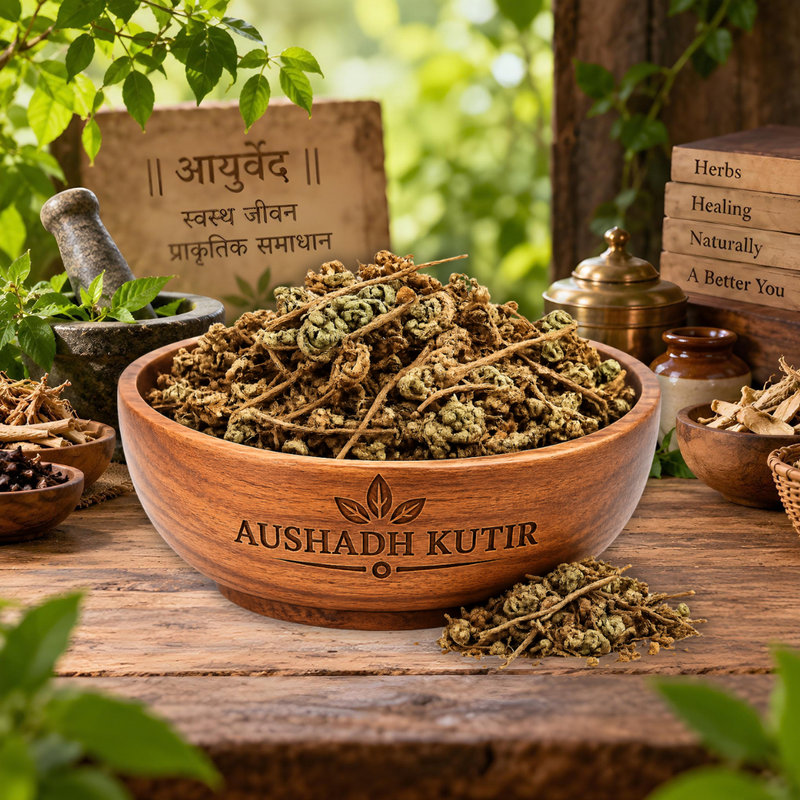 Laxman Booti Sanjeevni – Lakshman Booti | Sanjeevni Booti | Traditional Ayurvedic Herb | Natural Dried Herbal Raw Material